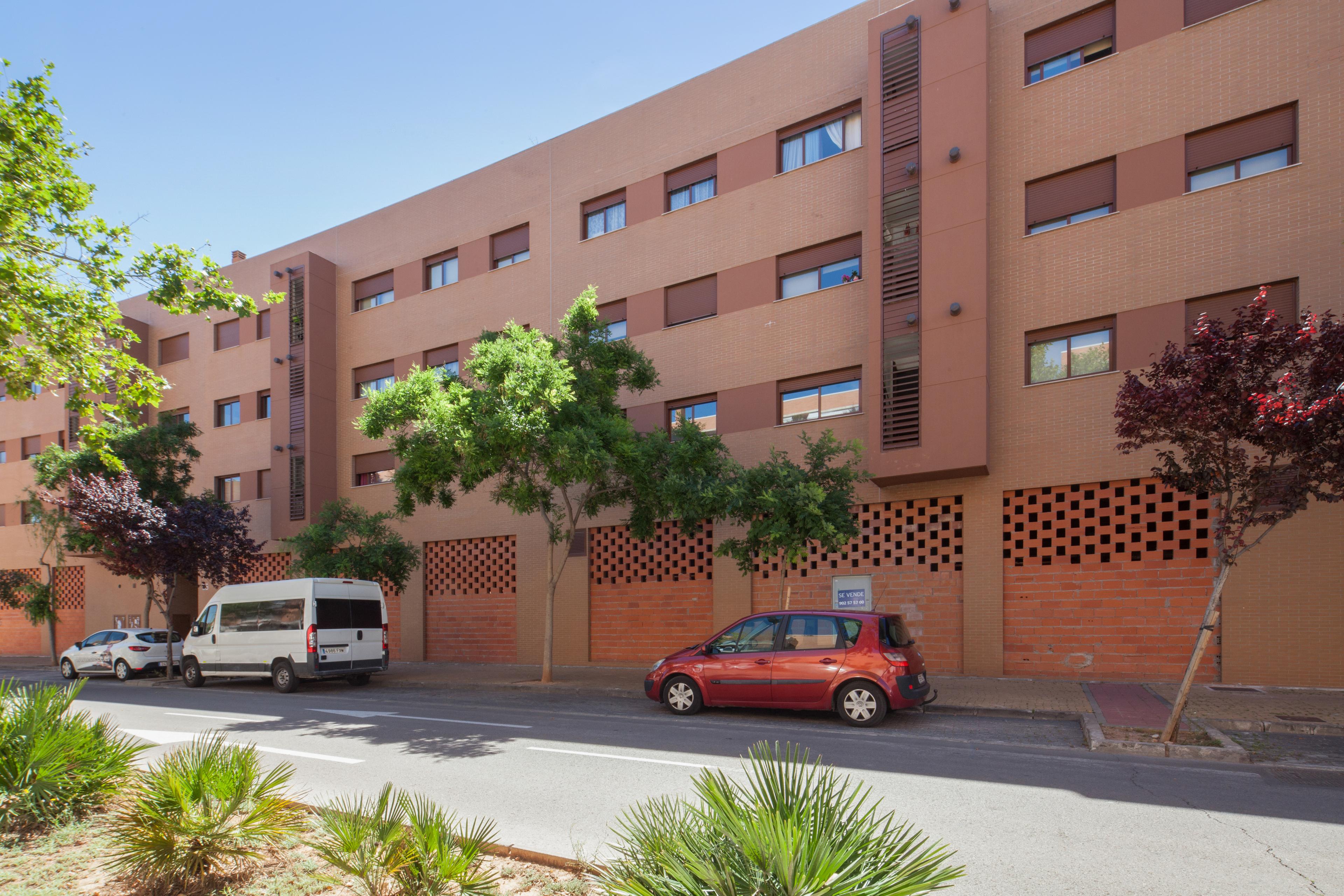 Imagen del carrusel 6