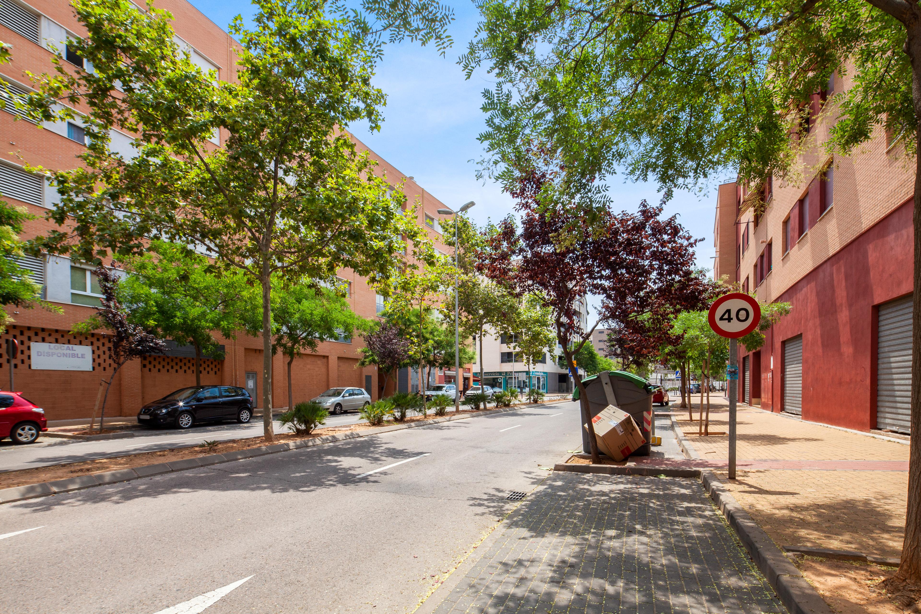 Imagen del carrusel 12