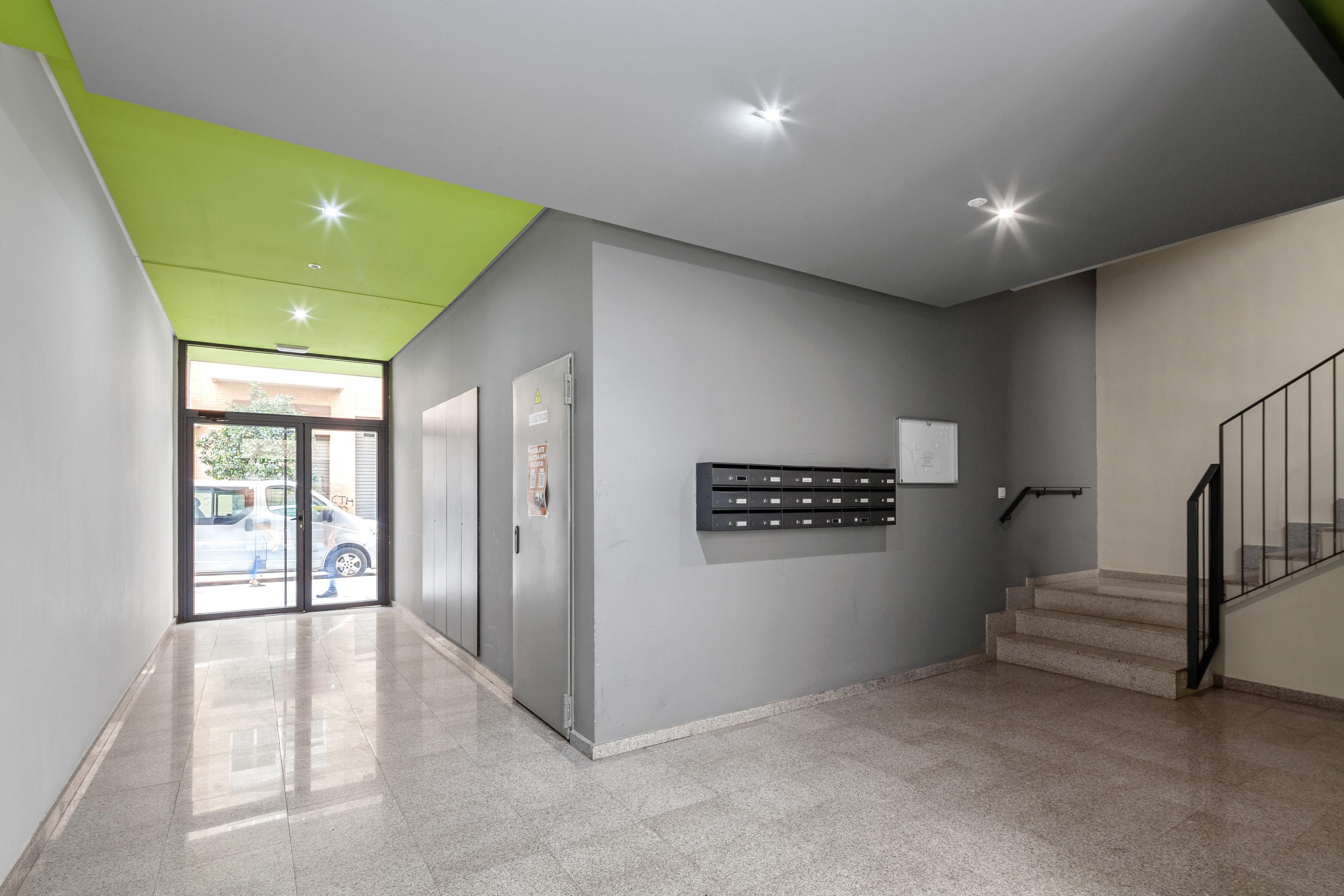 Imagen del carrusel 3