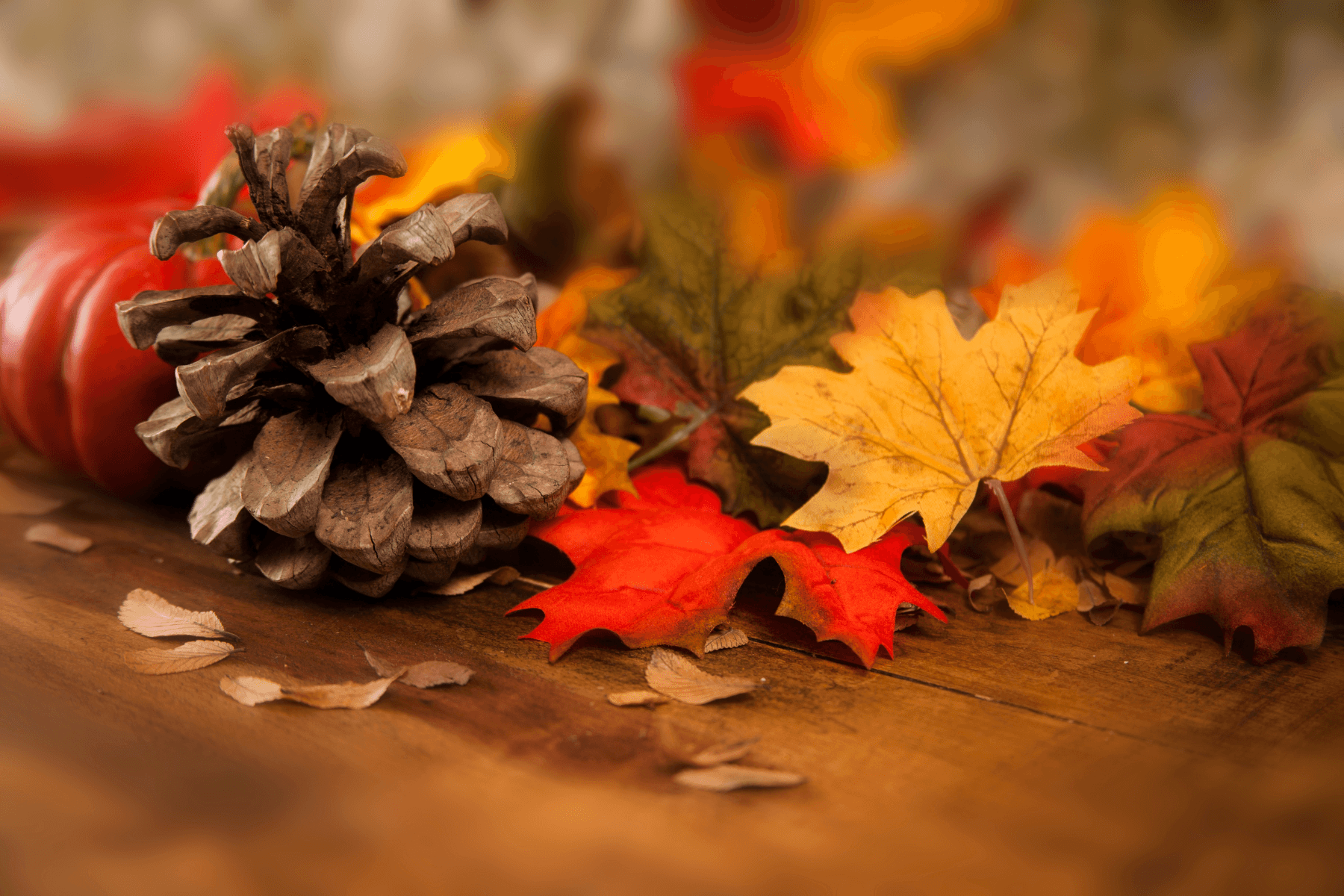 Decoración de otoño para tu casa