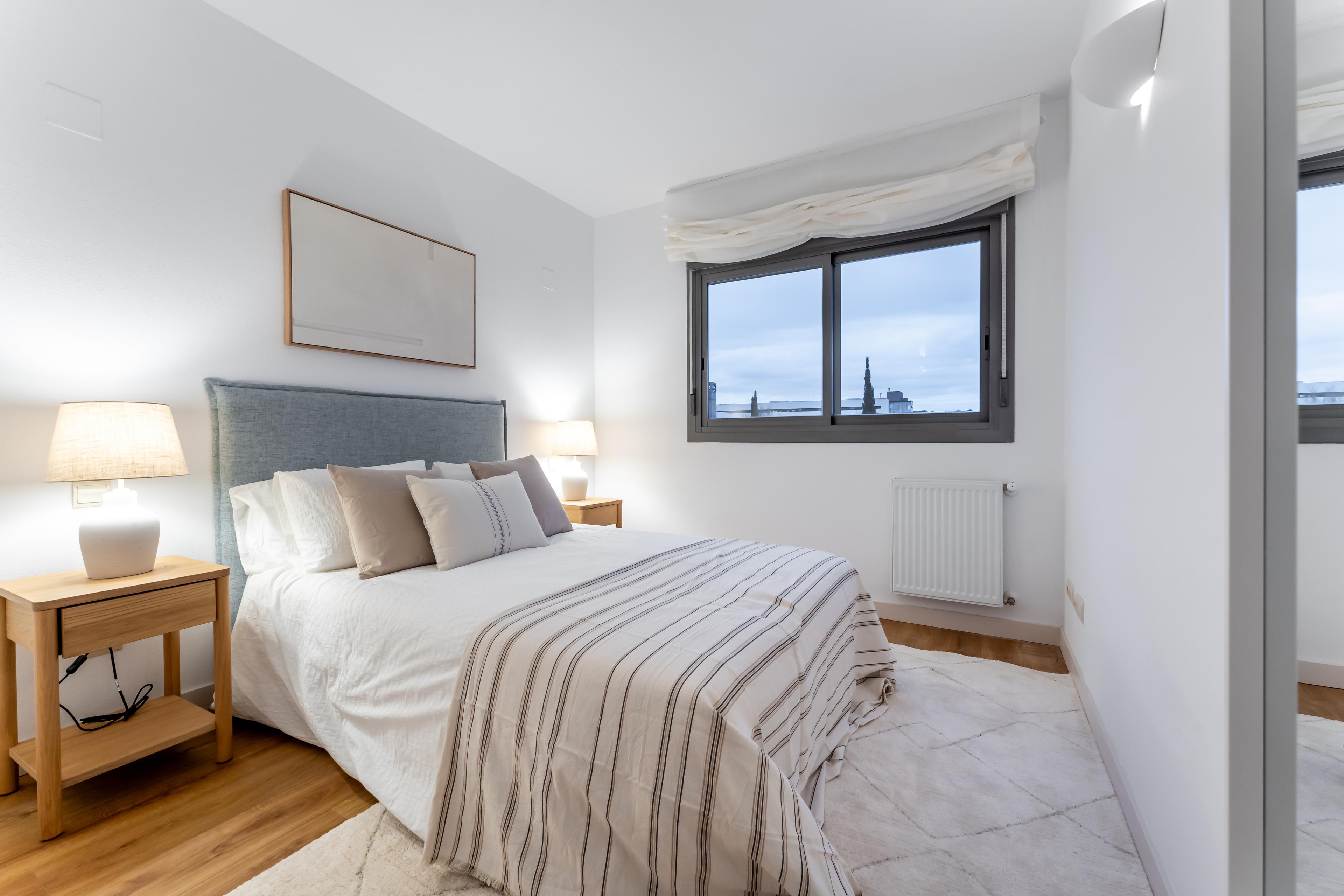 Imagen del carrusel 4