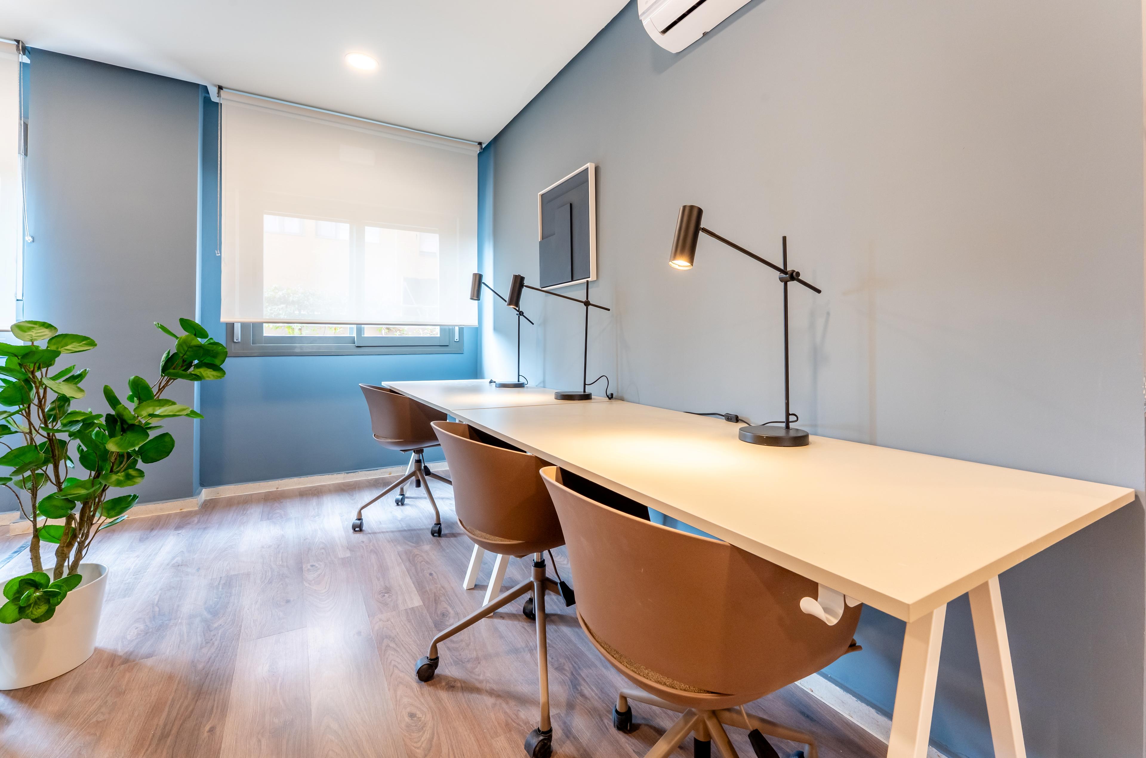 Imagen del carrusel 4