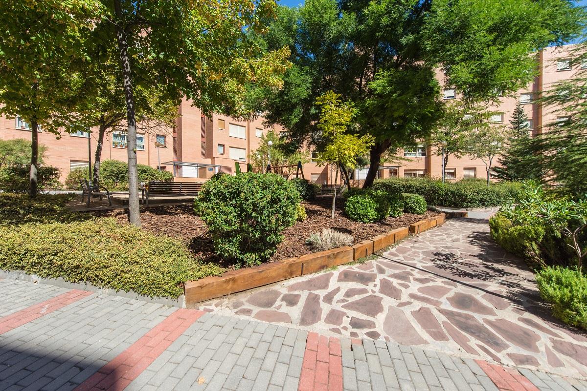 Imagen del carrusel 3