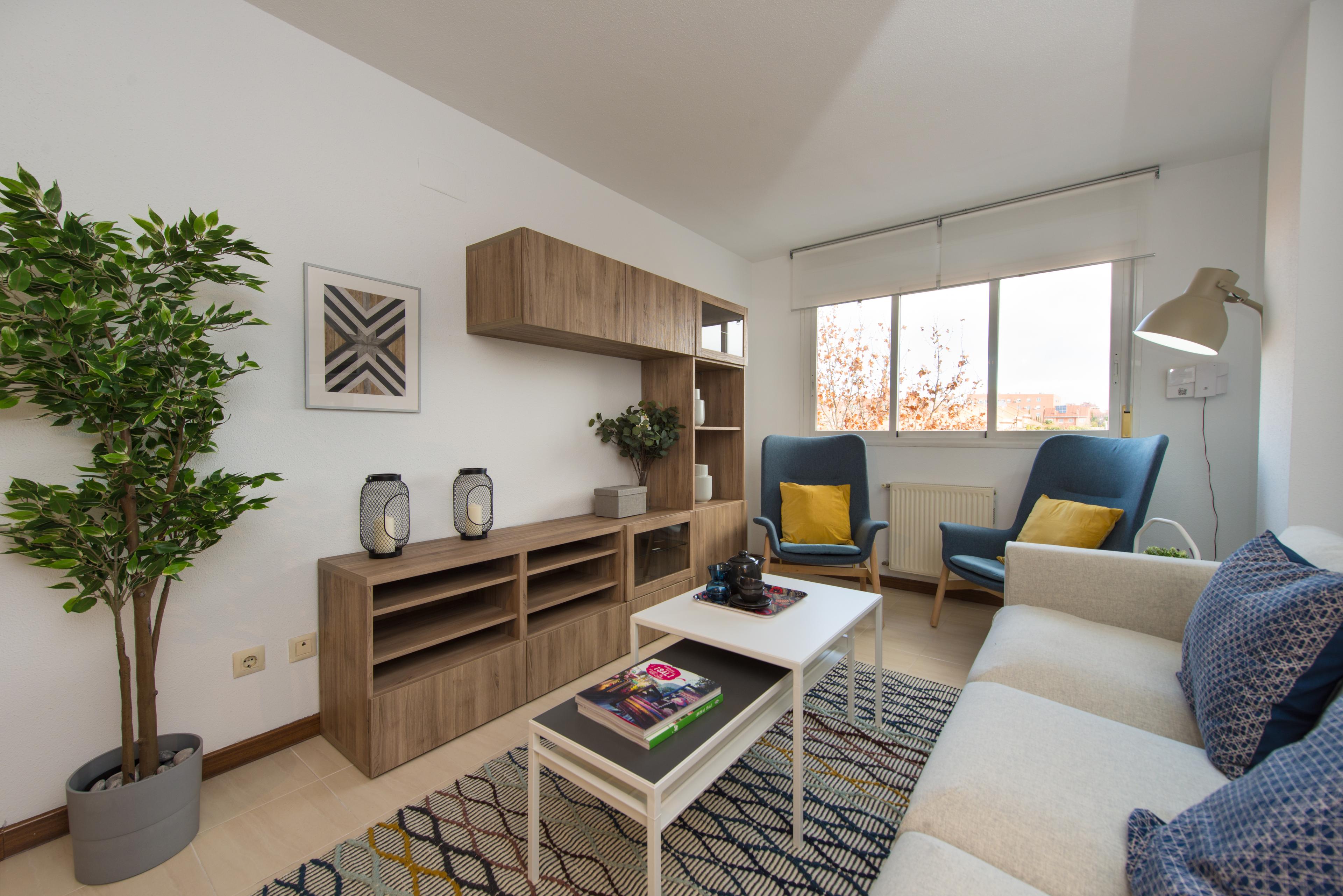 Imagen del carrusel 2